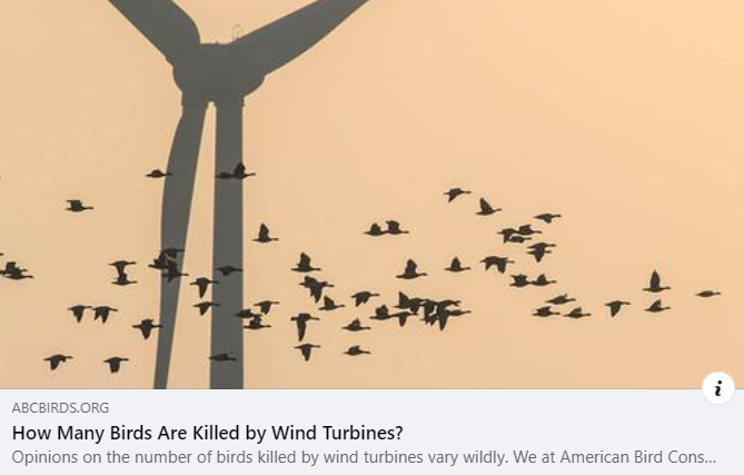 How Many Birds Are Killed by Wind Turbines?
