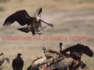 Всичко започва от там, че журналистите, почти сме загубили човешките си качества и превръщаме всяка трагедия в диамантено находище за рейтинги