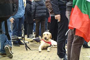 Истинските лица на протестите