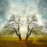 Connected souls...