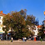 Старият бряст в Сливен