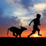 За любовта между Homo Sapiens и Canis lupus