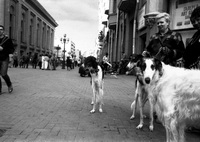 Москва, неуспешният преврат 1989 – 1991