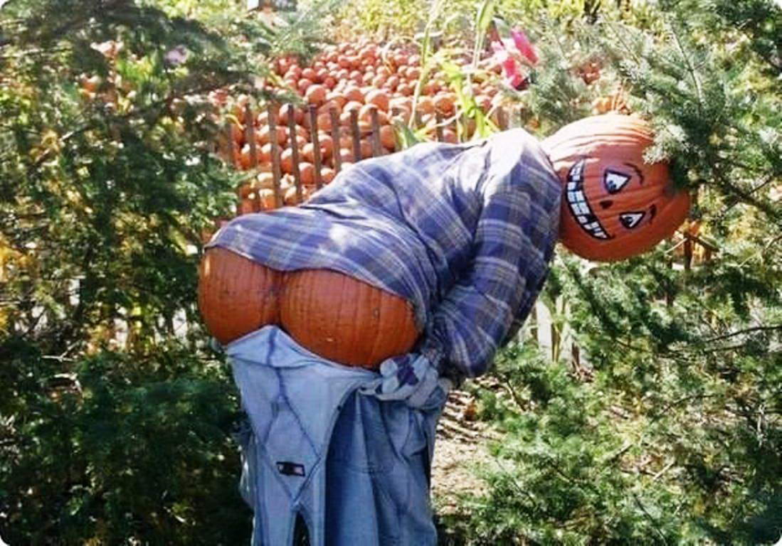 Да обесиш плашилото